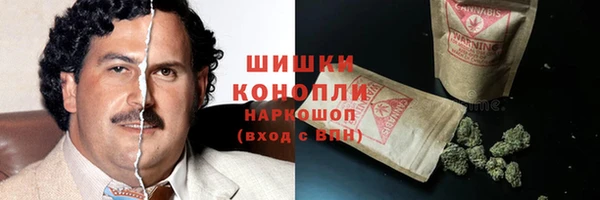 МДПВ Гусев