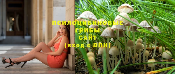 Альфа ПВП Горно-Алтайск