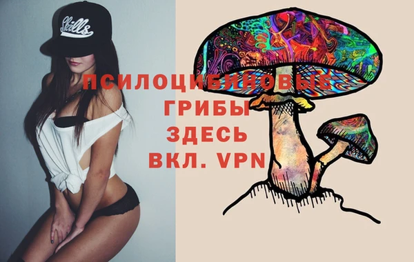 гидра Гусь-Хрустальный