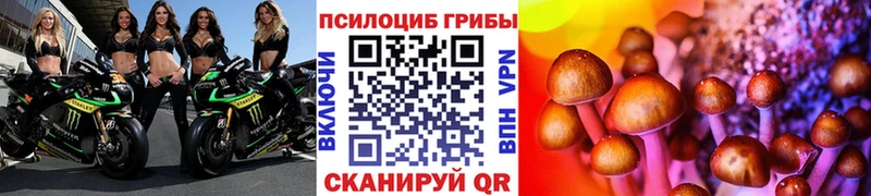 Галлюциногенные грибы Magic Shrooms купить Моршанск