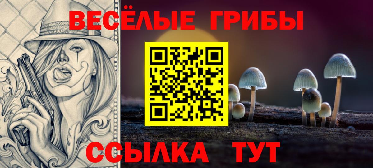 Галлюциногенные грибы Cubensis  Вход с VPN  Моршанск  Галлюциногенные грибы GOLDEN TEACHER 