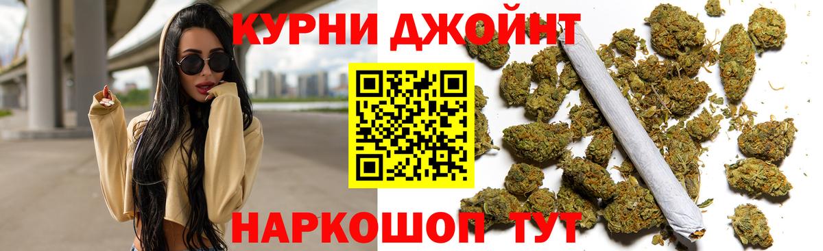 Конопля сатива  Моршанск  Каннабис планчик 